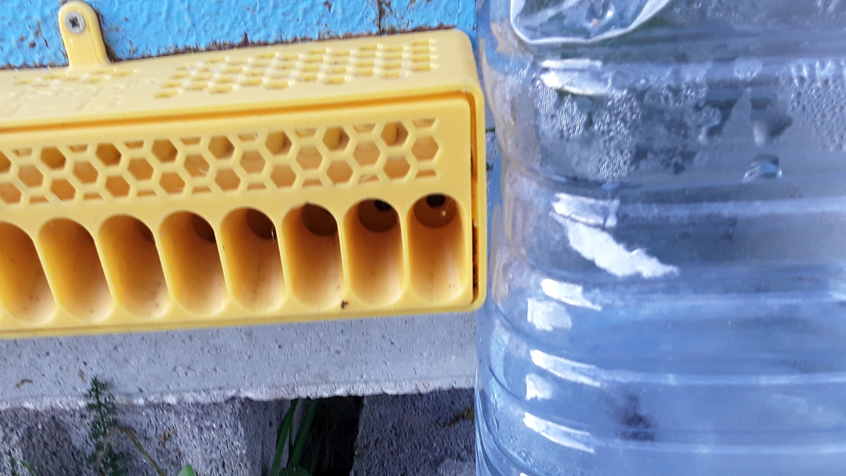 Detalle accesorio garrafa